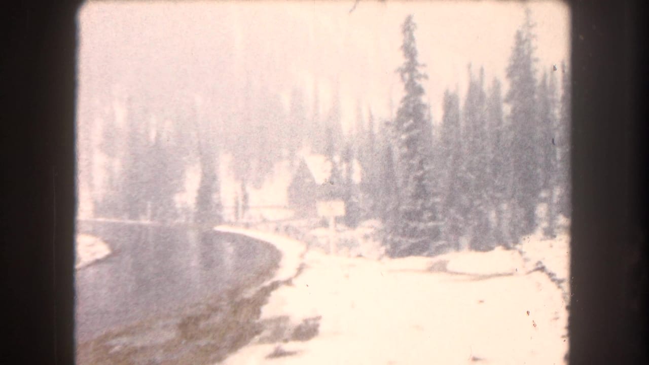 Snow falling over a curved road with a small lodge-like building among evergreens.