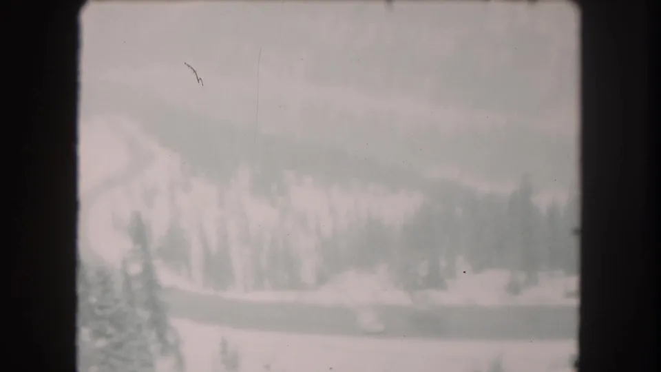 Soft 8mm view of a snowy Summit County mountain road with evergreen trees and a muted winter sky.