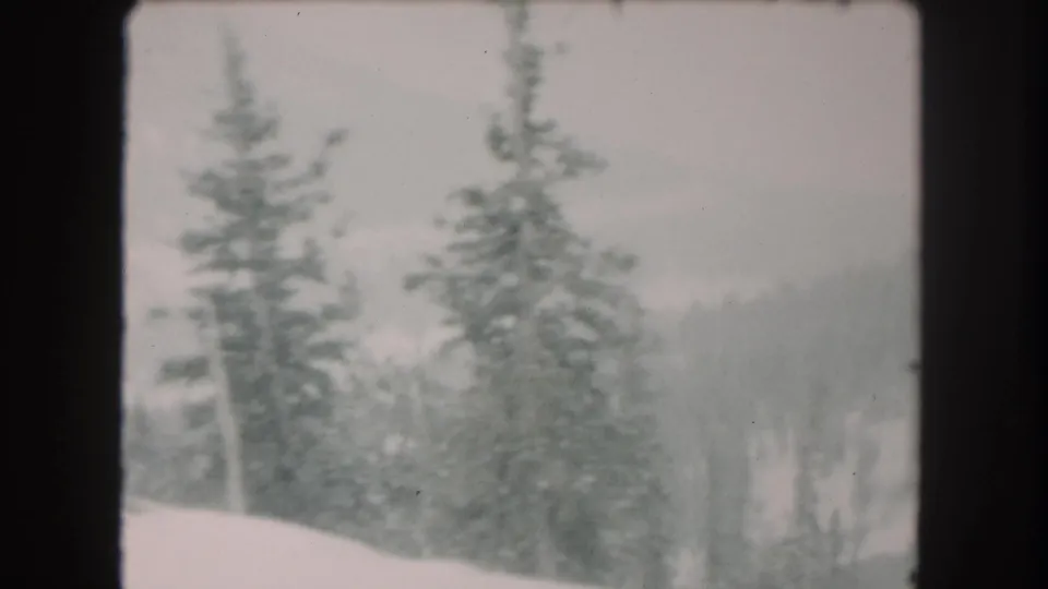 1962 Summit County, Colorado 8mm frame showing tall evergreens in snow against a misty winter mountain background.