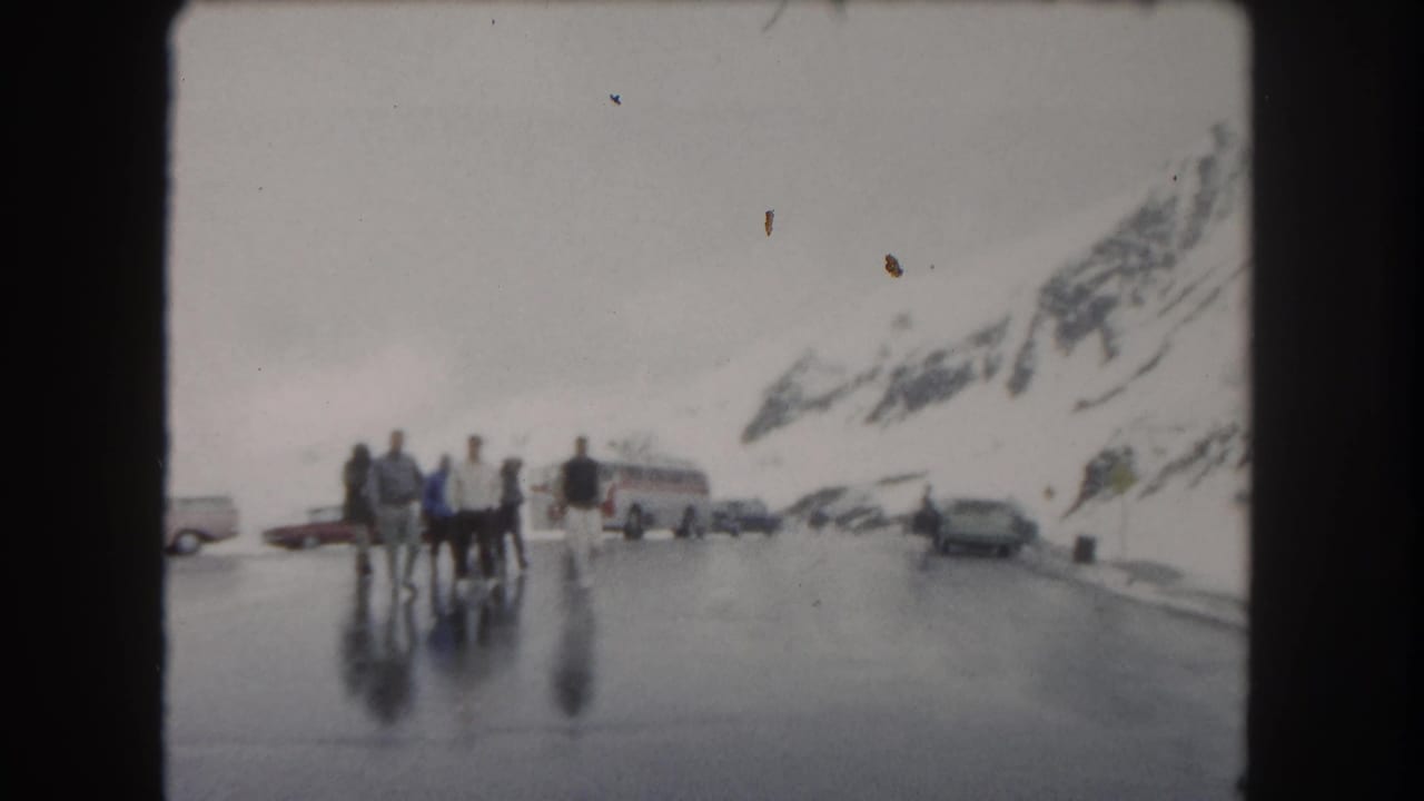Group walking on a wet road with snowy mountains and parked vehicles behind them.