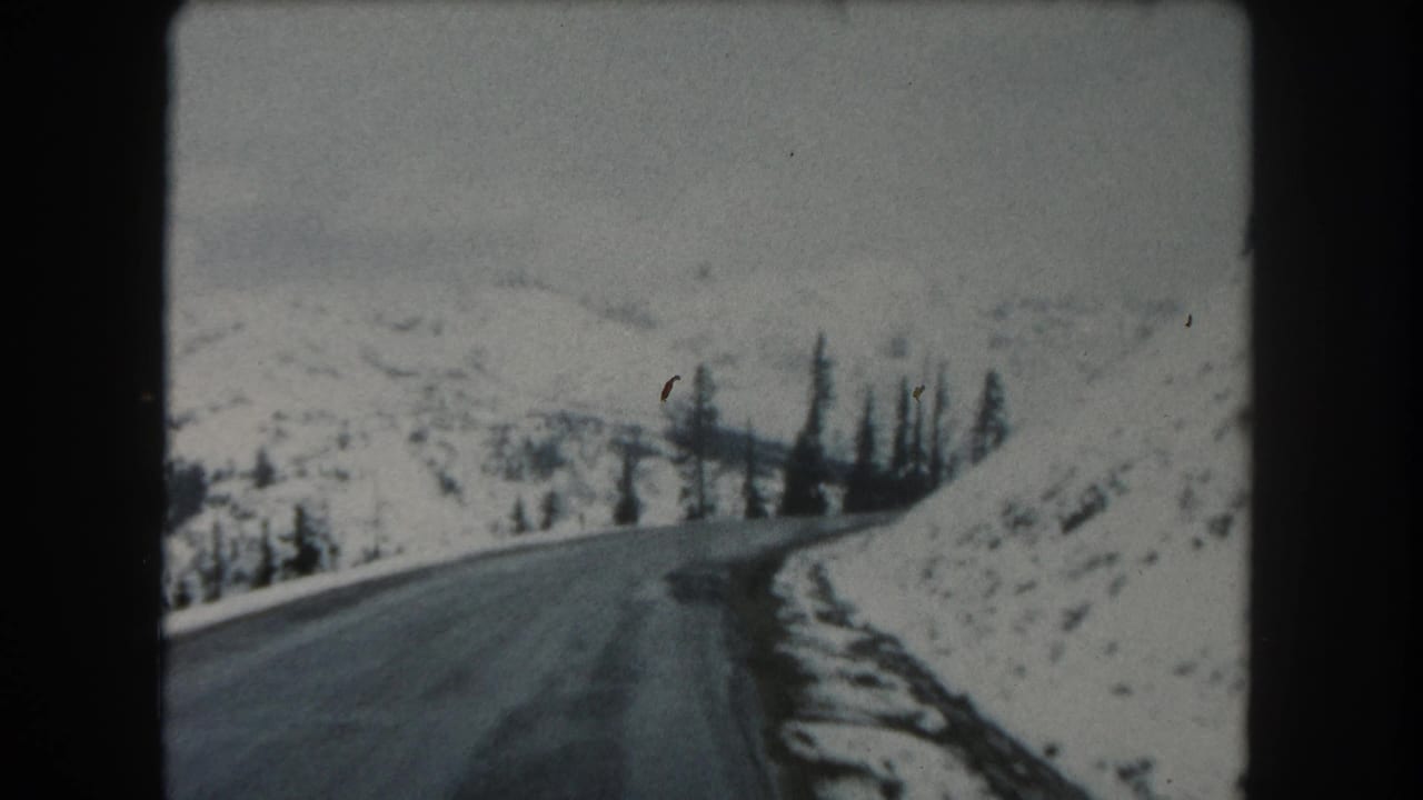 Snowy mountain road curving left past evergreen trees and snow-covered slopes.