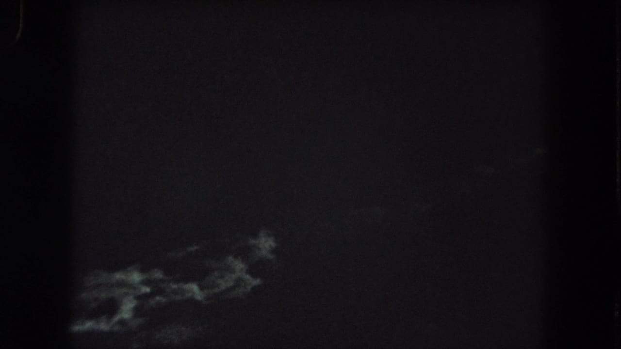 Grainy 1962 home-movie frame showing blurred light-toned shapes low in the frame against a dark wooded setting.