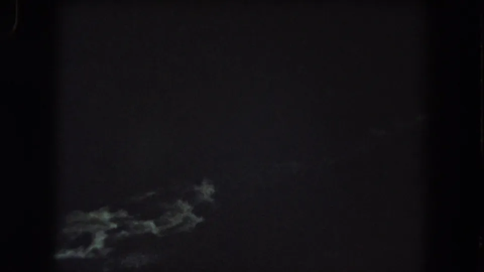 Grainy 1962 home-movie frame showing blurred light-toned shapes low in the frame against a dark wooded setting.