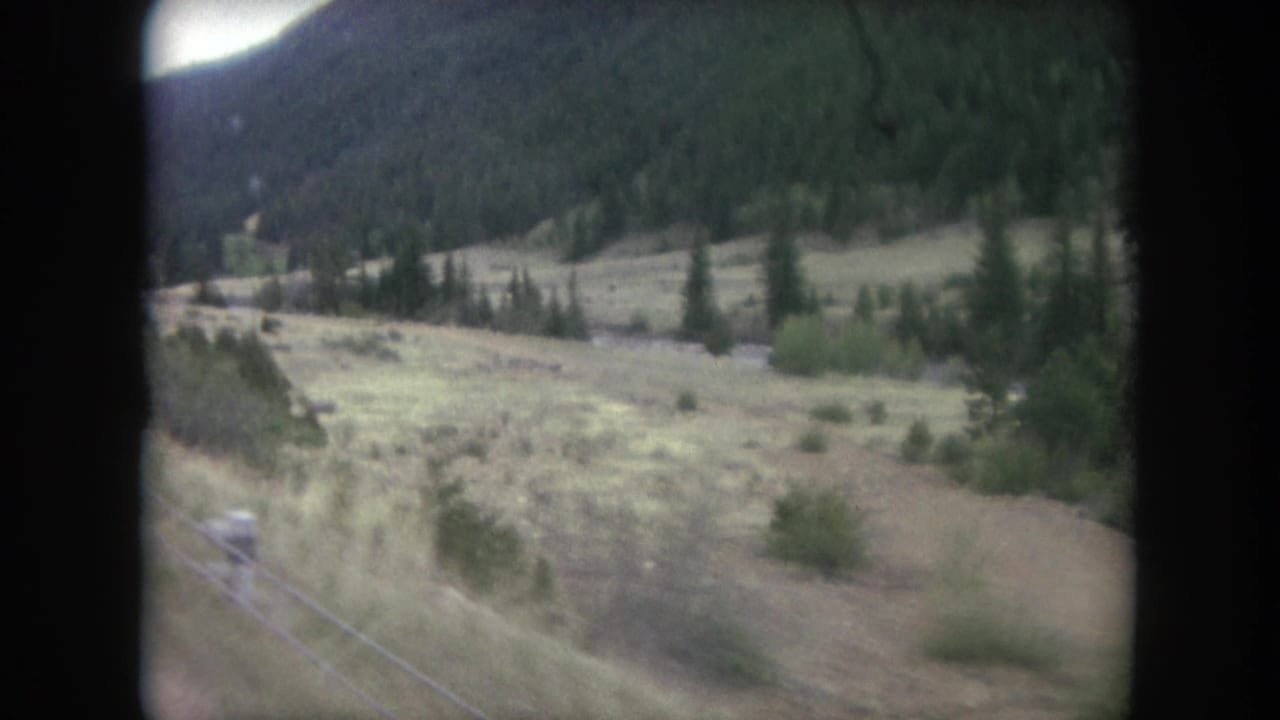 Moving view across a grassy mountain valley with trees and a dark wooded slope.