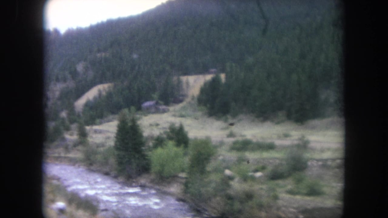 Rushing river beside a pine-covered valley with grassy slopes and a small hillside structure.