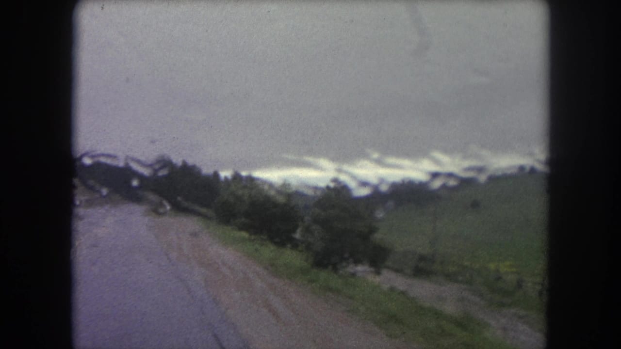 Wet dirt road beside trees under an overcast sky, seen from a moving vehicle.