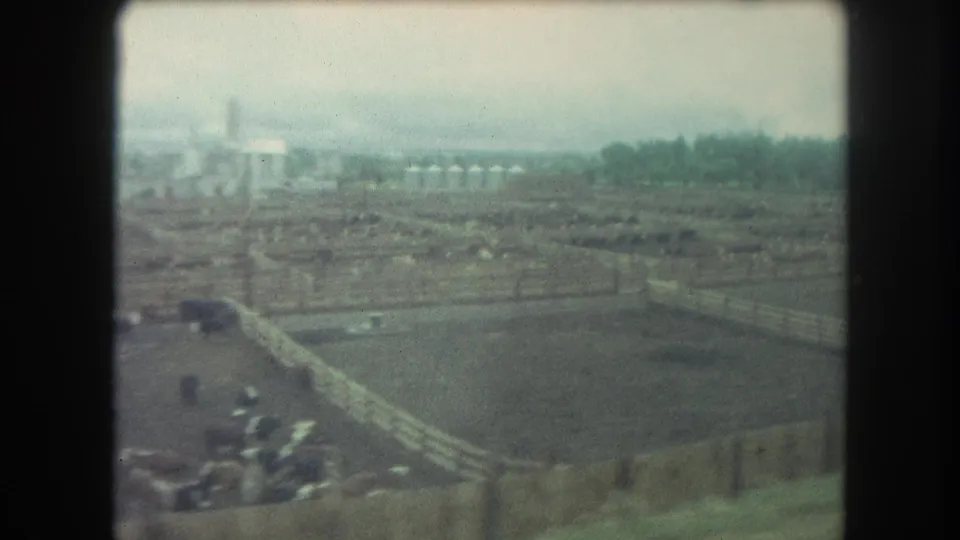 1962 8mm aerial view over a cattle ranch near Winter Park, Colorado, showing fenced pens, livestock, haze, and distant structures.