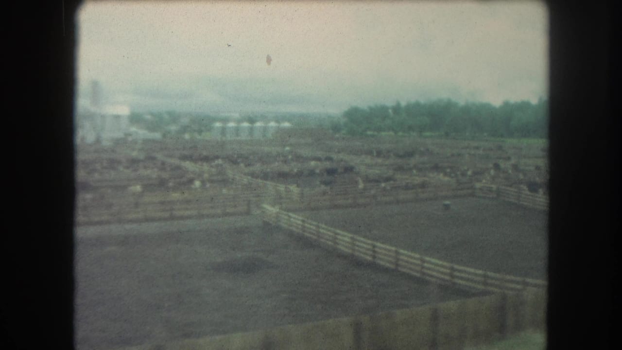 Fenced ranch yards and livestock seen from above under a hazy sky.