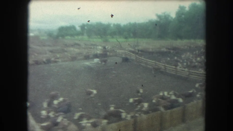 Elevated 1962 Winter Park, Colorado home-movie frame showing cattle pens, open muddy areas, and a tree-lined edge.