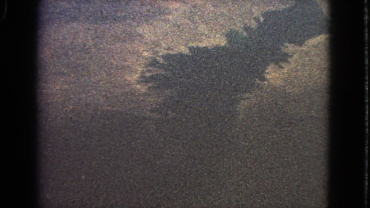 Dark aircraft-like shadow over grainy pale water and land from above.
