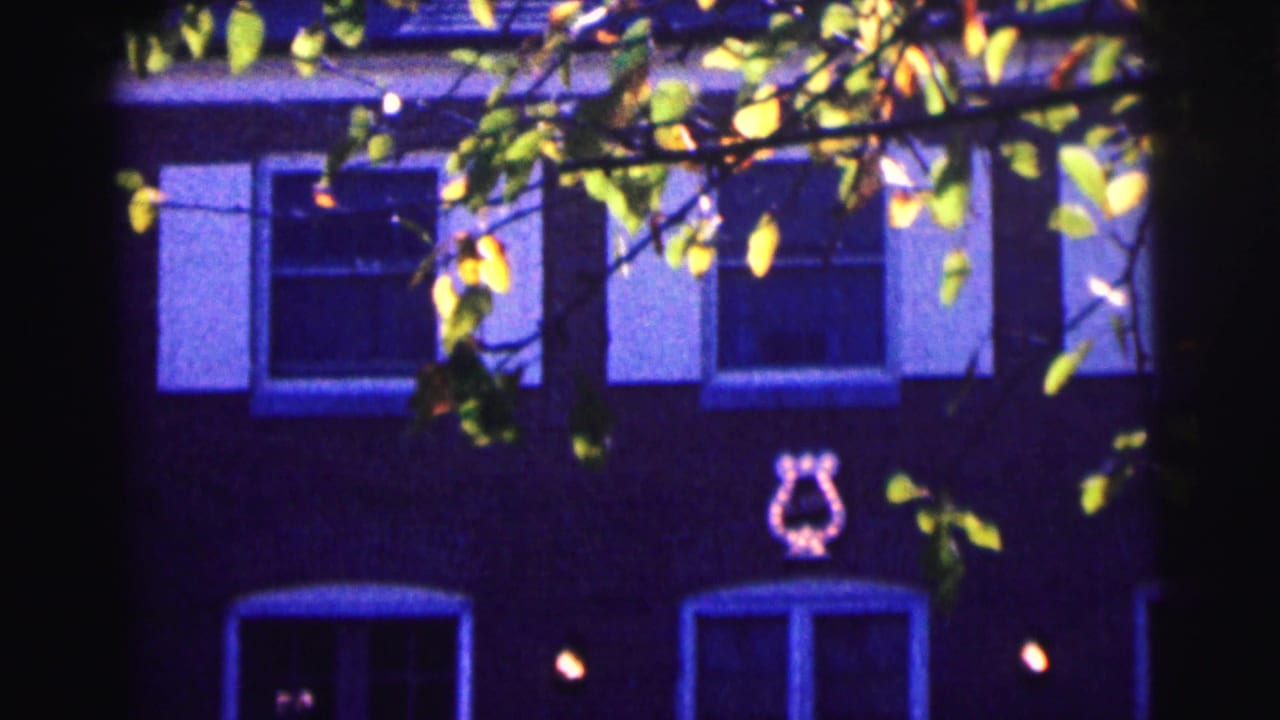 Similar night view of a brick facade with windows, shutters, leaves, and a glowing fixture.