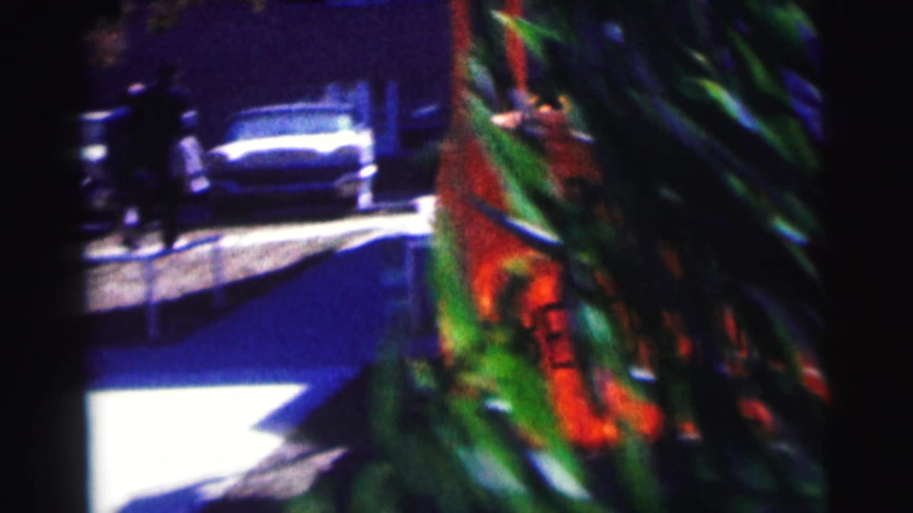 Parked car and distant people appear beyond a partly obscured orange sign and greenery.