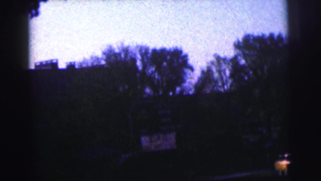 Dark silhouetted trees and building shapes beneath a pale sky.