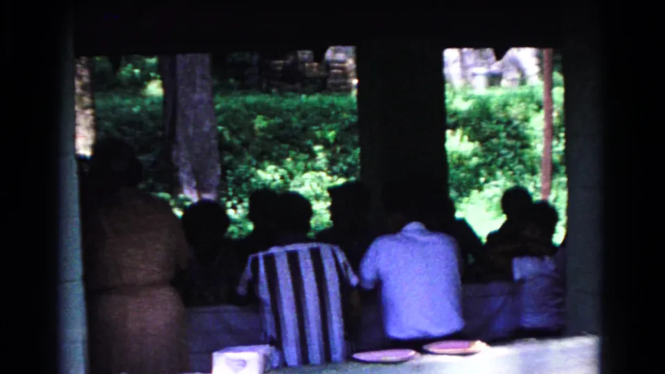 People sit with plates at a picnic table in a shaded Cold Springs pavilion, framed by posts and bright greenery outside.