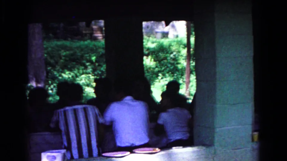 A shaded pavilion view shows several people seated at a picnic table, with plates in the foreground and green park foliage outside.