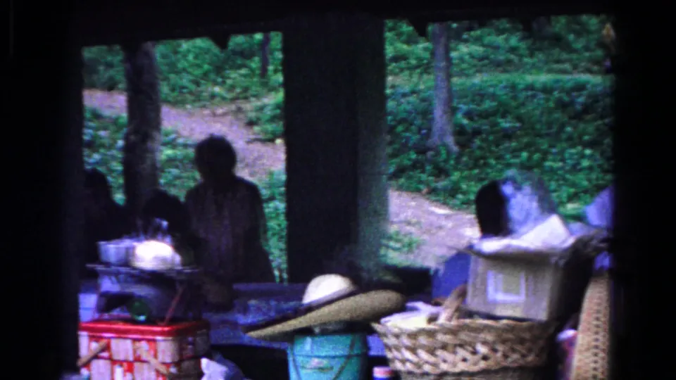 Shadowed adults gather under a pavilion in Cold Springs, with picnic containers, a straw hat, and green woods visible through the openings.