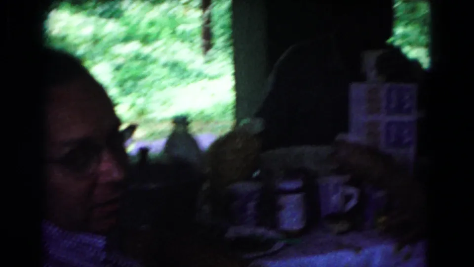 Dim 8mm frame from the Cold Springs pavilion scene showing an adult face in partial shadow near a kettle, containers, and wooded light outside.