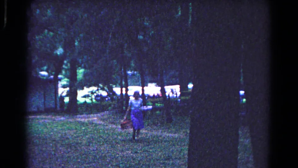 A woman walks across a wooded park lawn in the 1963 Cold Springs home movie, with picnic activity in the background.