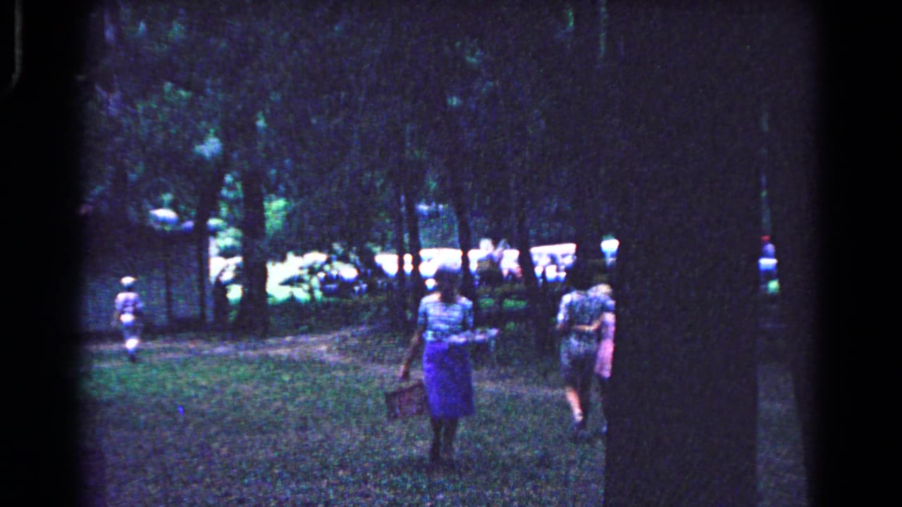 Adults walking in a wooded clearing with picnic activity in the background.