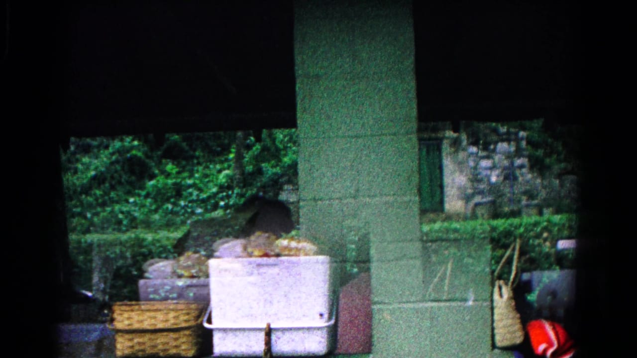 Picnic supplies sit on a table under a shelter with greenery in the background.