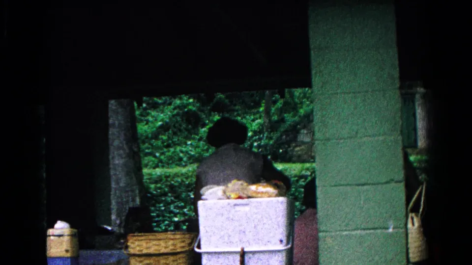 A person works behind a white cooler and woven picnic baskets in the shaded Cold Springs shelter, with leafy greenery behind.