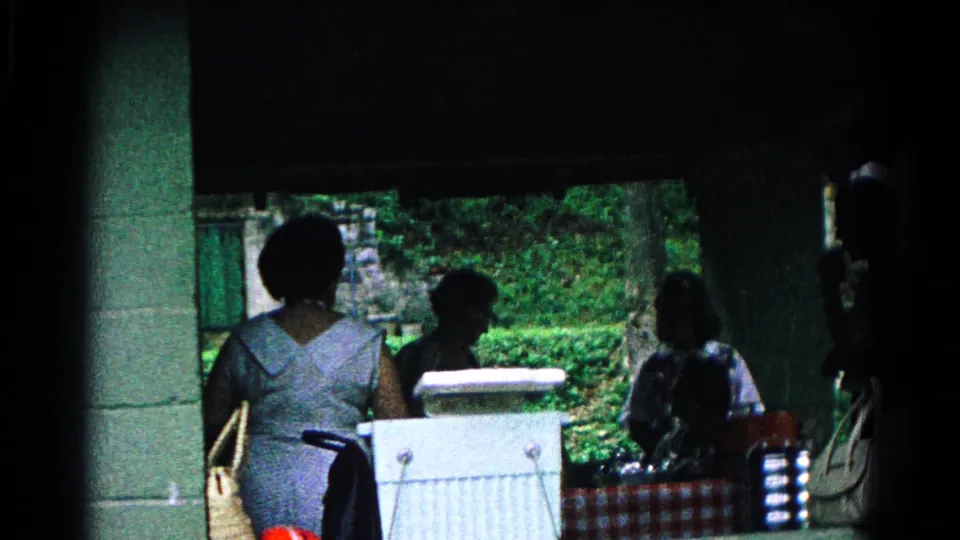 Women gather around a picnic table in Cold Springs, New York, with a white cooler and red-and-white cloth visible beneath the pavilion.