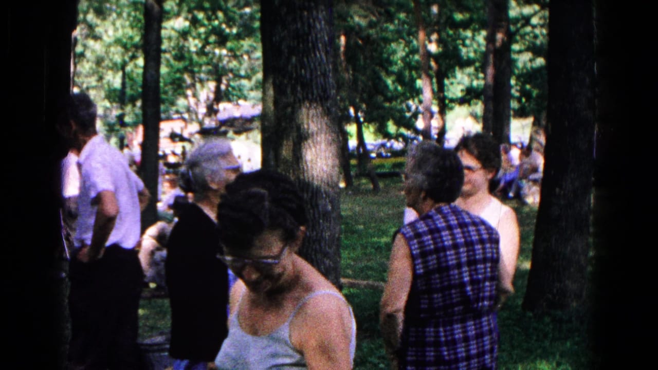Older adults standing and talking among tall trees in a shaded park.