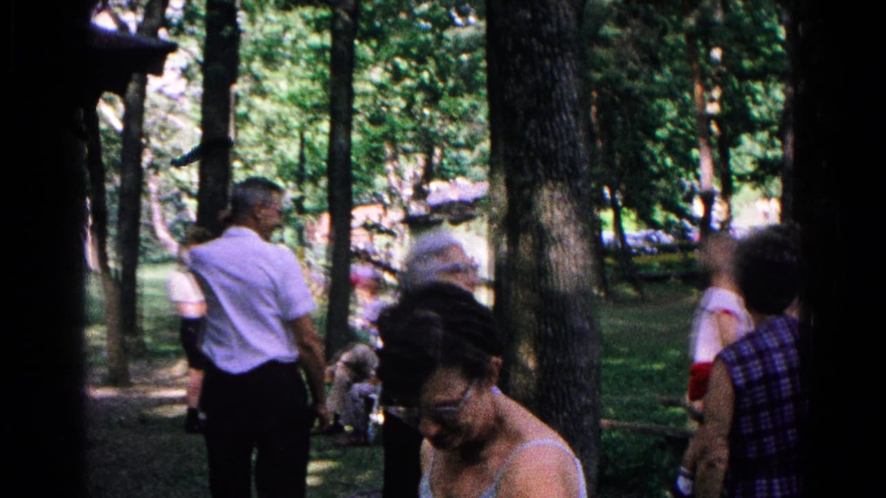 Man in a white shirt and women standing in a wooded park clearing.