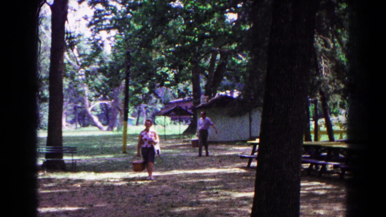 A woman carries a picnic basket while a man follows near a small shelter in a wooded park.