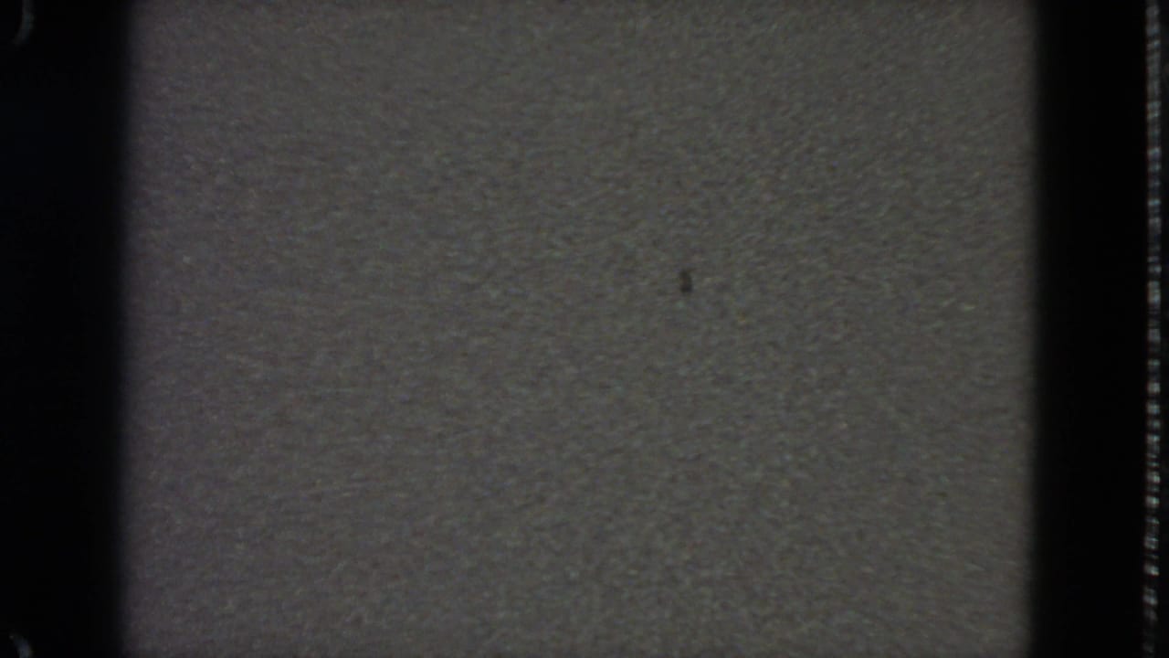 1963 8mm frame from San Francisco metadata showing a gray no-signal static field with dark borders and light dust specks.