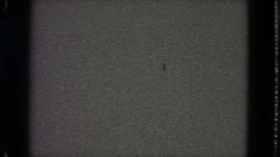 1963 8mm frame from San Francisco metadata showing a gray no-signal static field with dark borders and light dust specks.