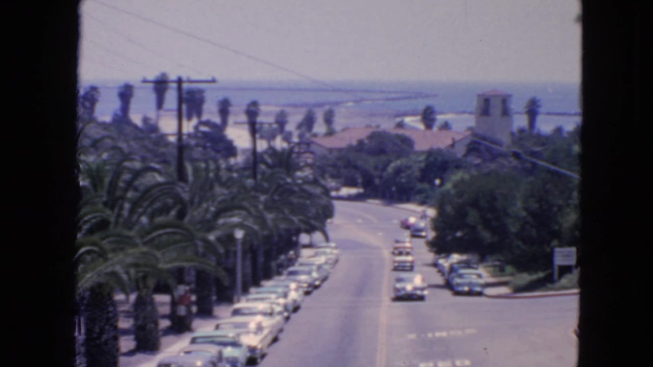Palm-lined street with parked and moving cars, rooftops, and distant water.