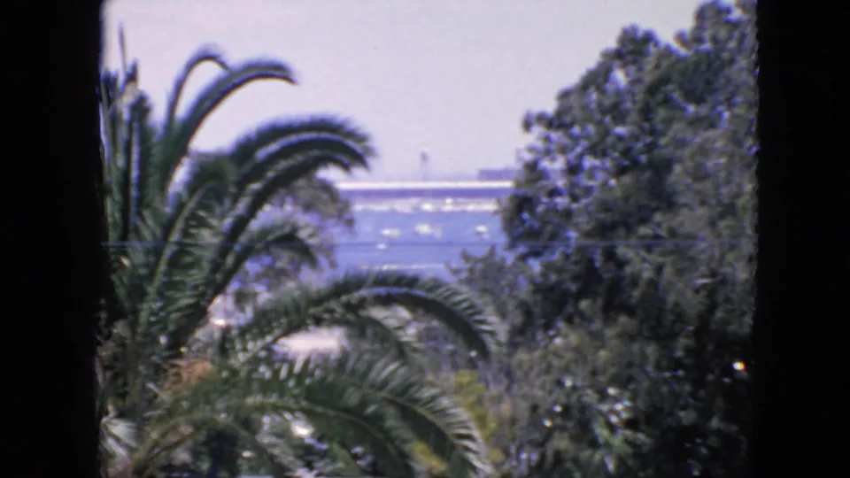 Palm-framed 1963 San Francisco bay overlook with small boats, distant shore, soft focus, and visible 8mm frame borders.