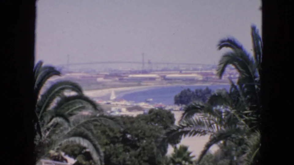 Wider 1963 San Francisco bay vista with palms in the foreground, shoreline below, and a distant bridge across the haze.