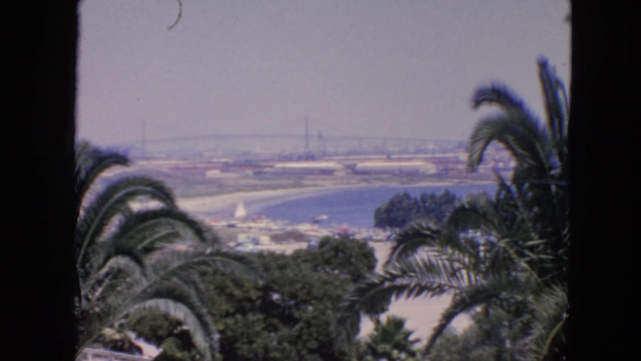 Palm trees frame a hazy bay view with a distant suspension bridge.