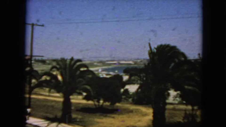 1963 San Francisco coastal view with palm trees in the foreground, utility poles, bay water, and a distant shoreline.