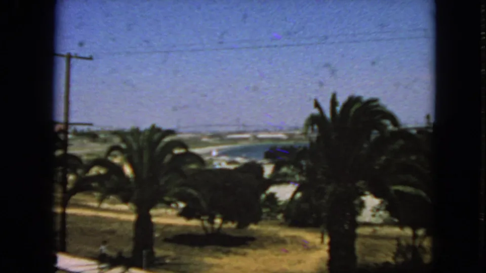 Palm trees and low vegetation frame a 1963 San Francisco Bay view with water, distant shoreline, and bright blue sky.