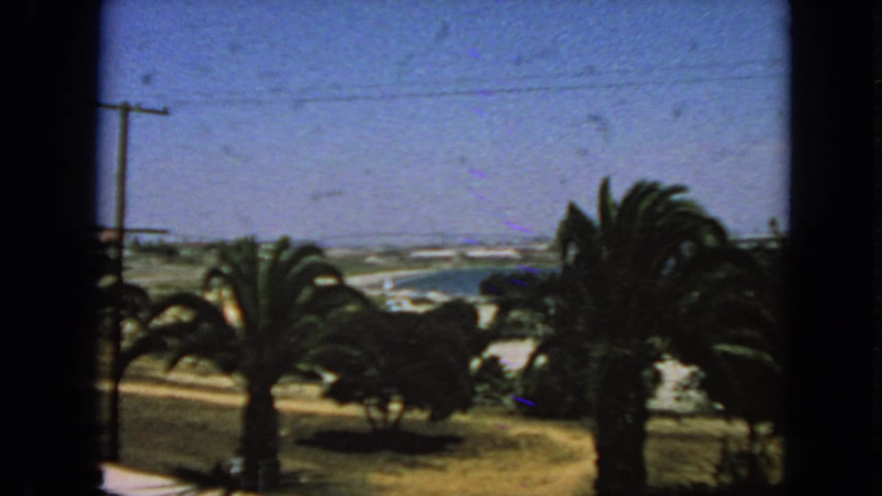 Palm trees and utility poles near a distant coastal landscape under a blue sky.