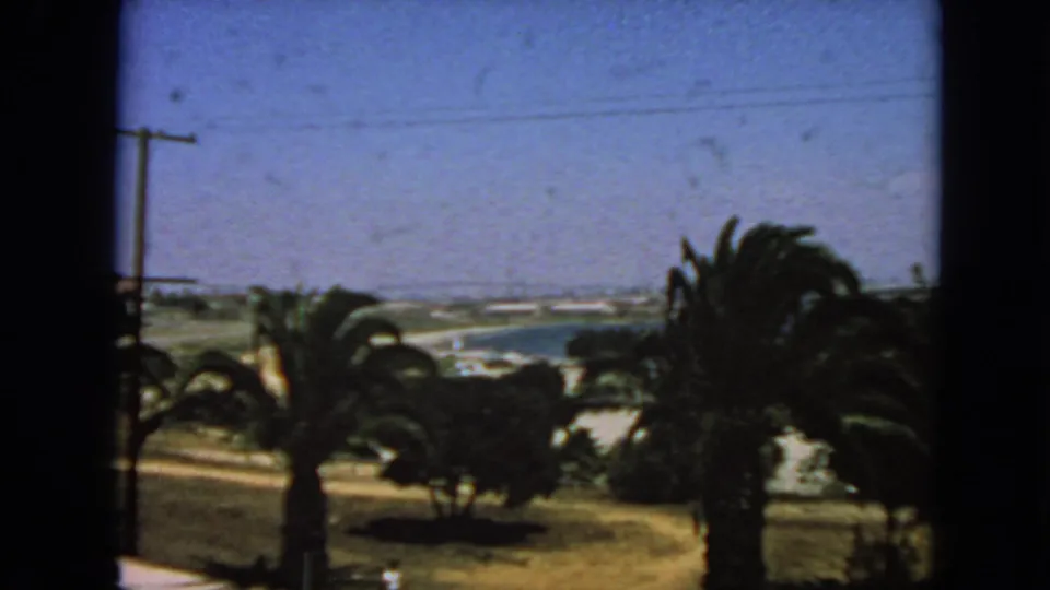 A 1963 California home-movie view of palm fronds, utility poles, and a hazy distant coastal or open landscape.