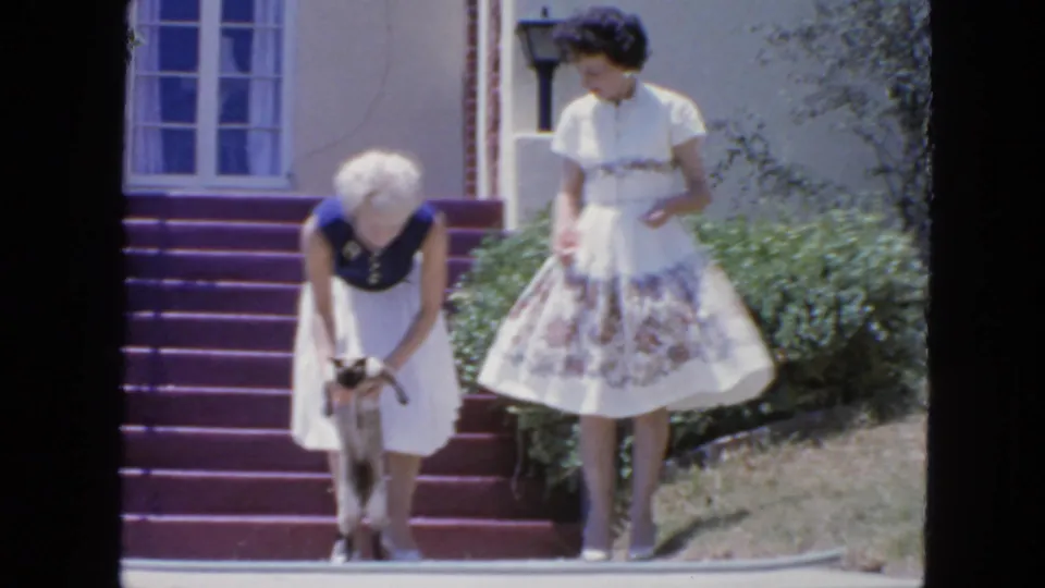 The Siamese cat stands on the lower purple step while one woman bends toward it and her companion in a floral skirt looks down.