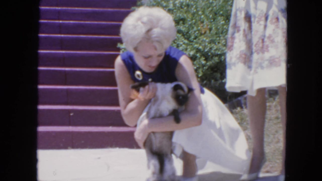 Blonde woman crouches on purple steps while holding a Siamese cat.