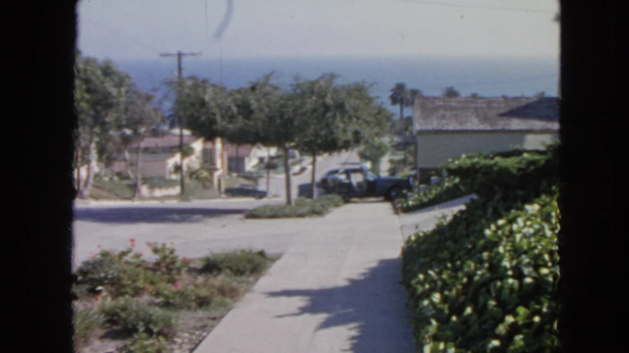 Window-framed view of a sunny street with shrubs, houses, trees, parked cars, utility pole, and blue water beyond.