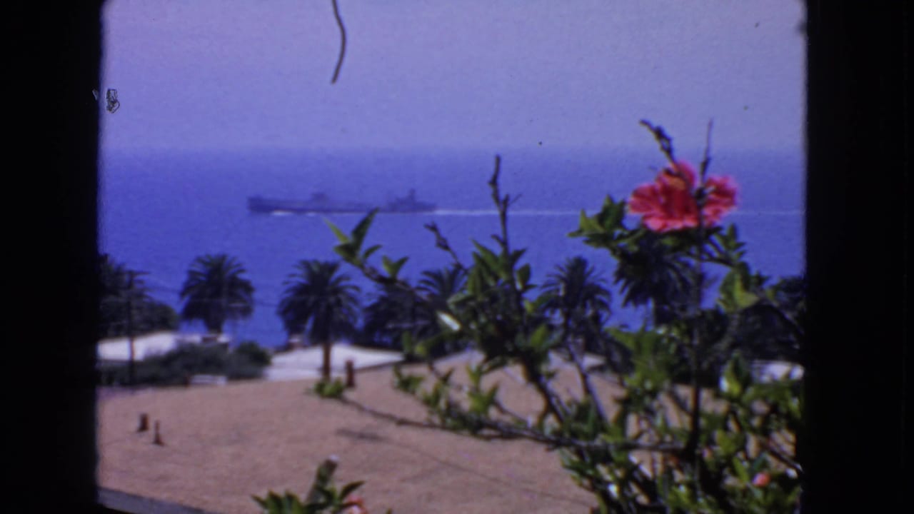 Distant ship on blue water framed by palm trees, foliage, and a pink flower.