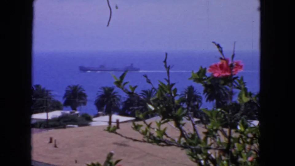 A steady 1963 8mm view in San Francisco shows a ship on the water beyond palms and bright foreground foliage.