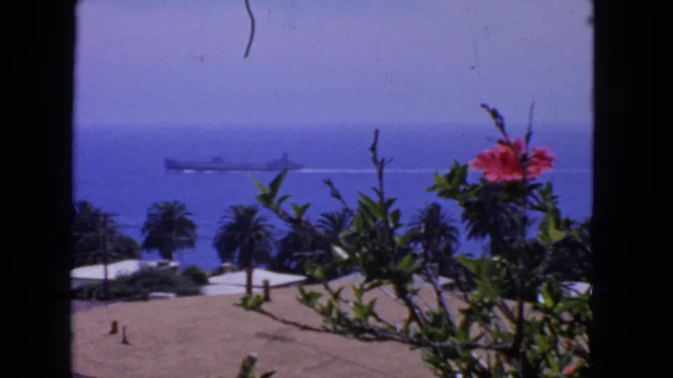 Vintage 8mm frame of a San Francisco coastal overlook, with a ship offshore and palms beneath a foreground flower branch.