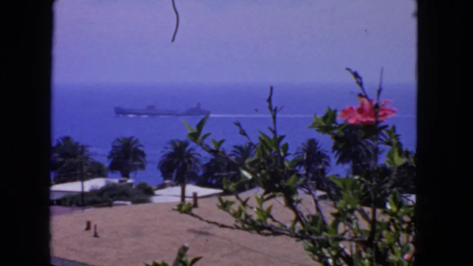 1963 San Francisco home-movie frame with a distant vessel, palm trees, dry foreground slope, and bright flowers at the edge of view.