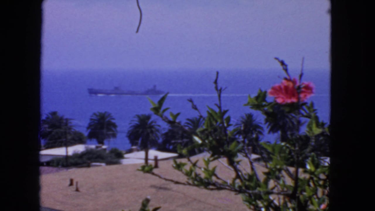 Large ship offshore beyond palm trees, sandy bluff, and a pink hibiscus flower.