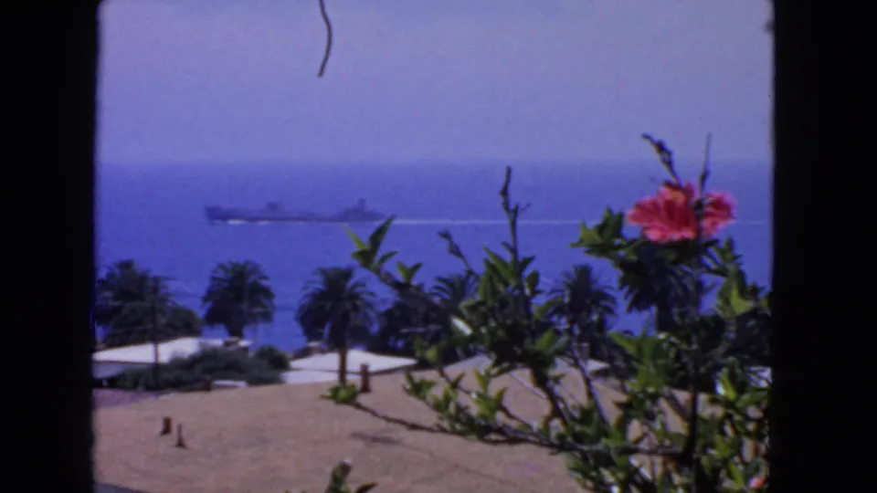 1963 San Francisco coastal view with a large ship on blue water, framed by palms, sandy ground, and a pink hibiscus in the foreground.