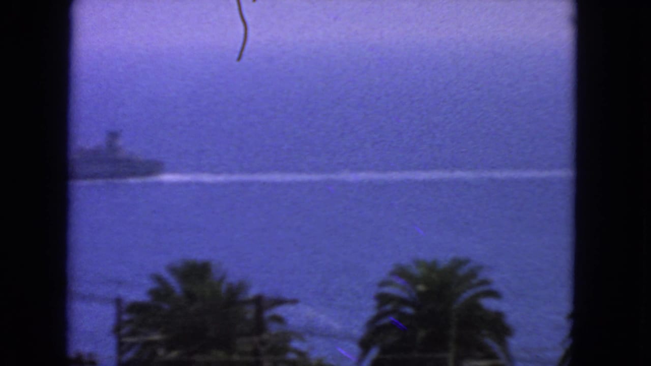 Blue-tinted view across water with palm silhouettes seen through a dark window frame.