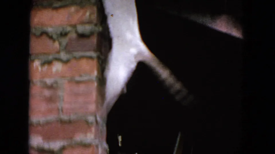A close 8mm frame shows the climbing cat partly cropped and blurred beside the red brick column at night.